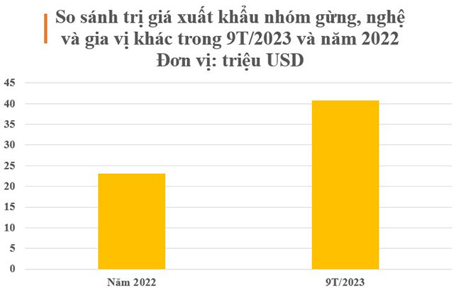 Trong cả năm 2022, xuất khẩu nhóm hàng này thu về hơn 23,1 triệu USD.