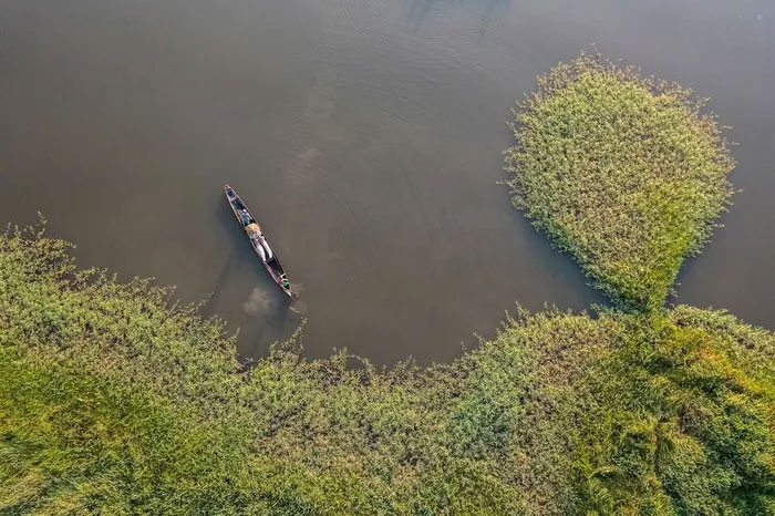 Ngư dân địa phương đánh bắt cá Hải tượng long trên một nhánh sông Amazon. (Nguồn: National Geographic),