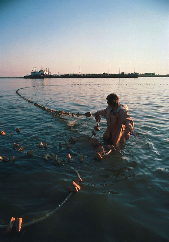 Đánh bắt cá tầm trên sông Volga, Volgograd, Nga. (Ảnh: Jonathan Wright/Bruce Coleman Inc).