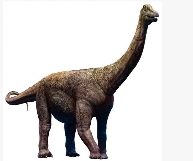  Khủng long Saltasaurus từ kỷ Phấn trắng, thuộc loài Titanosaurs. (Ảnh: mark Turner/Dreamstime.com).