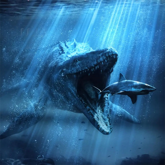 Mosasaurus là một chi thương long, một nhóm thằn lằn đã tuyệt chủng sống thủy sinh. Chúng tồn tại trong thời kỳ tầng Maastricht của Creta muộn, niên đại khoảng từ 70 đến 66 triệu năm trước đây, ở Tây Âu và Bắc Mỹ.