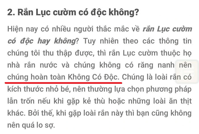 Một thông tin hoàn toàn sai về rắn lục cườm được tìm thấy trên Google. (Ảnh chụp màn hình).