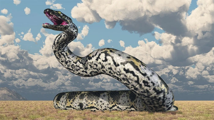 Titanoboa là một trong những loài rắn lớn nhất từng tồn tại, dài tới 13m - (Ảnh: MR1805/Getty Images).